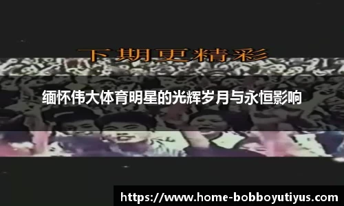 BOB博鱼体育