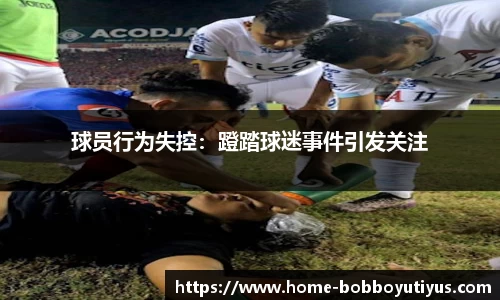 BOB博鱼官网