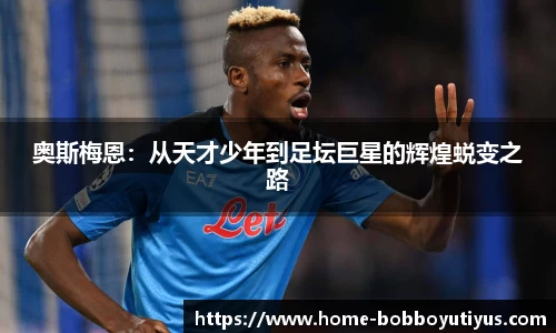 BOB博鱼